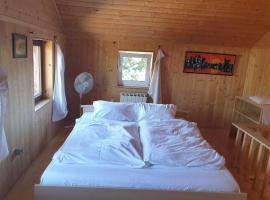 Homestay Sleepy Traveler, Ferienwohnung in Sankt Georgen im Attergau