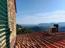 La Casa Gialla