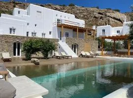 Villa Asin Tourlos
