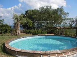 Il colle degli ulivi