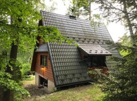 Domek w Lesie – zakwaterowanie bez wyżywienia w mieście Czechówka