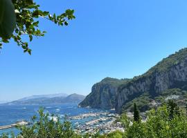 Depandance Casa Paolina, vila v Capri
