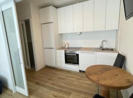 Vintage Apartment Ostrava center city, Ferienwohnung in Ostrava