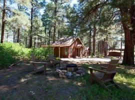 151 CR 200 1 Bedroom Cabin, vacation rental in Durango