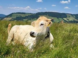 Ferienwohnung Almruhe mit Pool und Sauna & direkt am Skilift