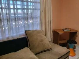 Deluxe Furnished Apartments Naka