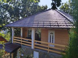 Stari Hrast 1, holiday rental in Prolomska Banja