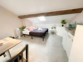 Appartement Cerf4-Centre ville Meaux-Gare-Disney