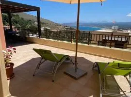 Carnation - Morfi Village