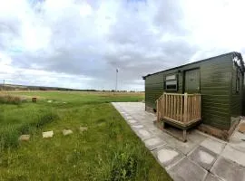 Runaway Northumberland