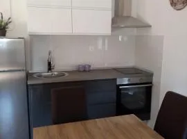 Apartment Maja