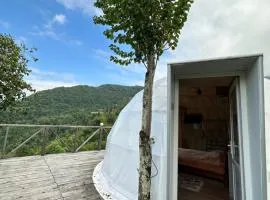Glamping Megobroba inn