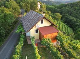 Adorable guesthouse in the middle of vineyards, hostal o pensión en Ptujska Gora