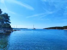 Apartmani Anisa
