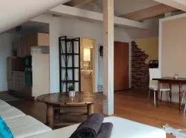 Festl Apartments - Nähe Messe München, Therme Erding