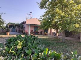 The architect, cottage in Ária