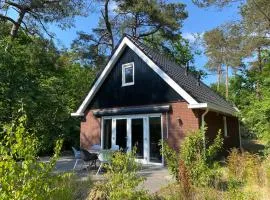 Luxe Vakantiehuis Vosje op de Veluwe Nunspeet