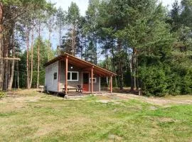 Domek w Puszczy Augustowskiej Sucha Rzeczka COLORADO