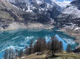 Chalet mountain and dog friendly hot tub