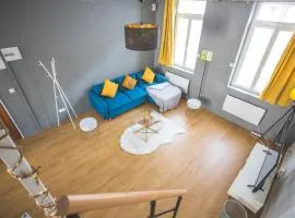 Colocation de luxe à Tourcoing avec jardin