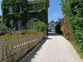 Une Tiny House à découvrir au cœur de la cité !