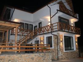 Вила Дружинци, holiday rental sa Druzhintsi