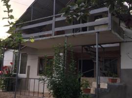 Mera Hostel, country house in P'arts'khanaqanevi