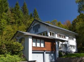 Schwarzwaldhimmel: Feldberg'de bir otel