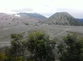 Mentigen homestay