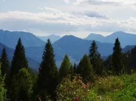 Alpenchalet Waldl - la Lepre