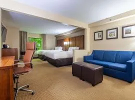 Comfort Suites Morrow- Atlanta South