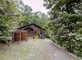 Black Bear's Den