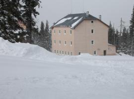 Оаза, hotel in Dragobrat