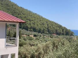 Babs-C apart, hotel in Mugla