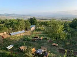 Eco family guest house