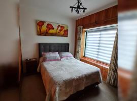 Habitación con baño privado A, homestay in Villarrica