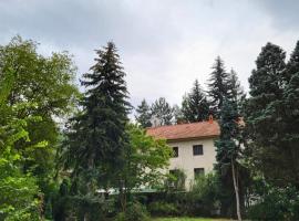 DAH BOROVA - BANJA TOPILO, hotel med parkering i Banja Topilo