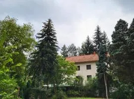 DAH BOROVA - BANJA TOPILO