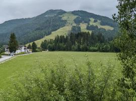 Schroider, place to stay in Kössen