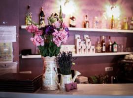 Pensiunea Oxana, hotel v destinaci Lipova