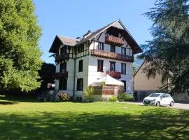 Appartement Châlet de la Pique