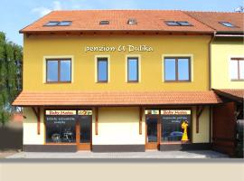 Penzion U Dulíka, hotel ve Veselí nad Moravou