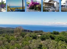 Τhe grandma's house