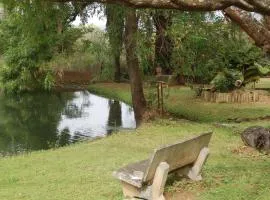 Nita's Air Bed & Breakfast & self catering