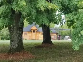 Le kota des 3 tilleuls