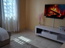 Hood homes 1 bedroom, roysambu