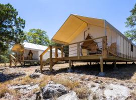 Stargazer Glamping Tent, luxury tent in Boerne