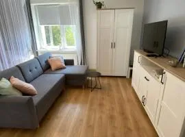 Apartament Czytelnia - parking gratis