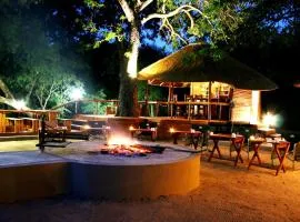 Lion Tree Top Lodge