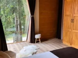 Forest Lux Boutique Villas